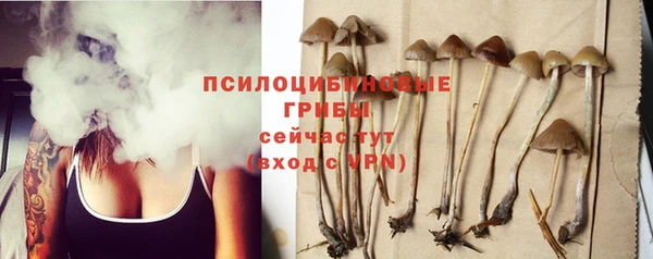 хмурый Верея
