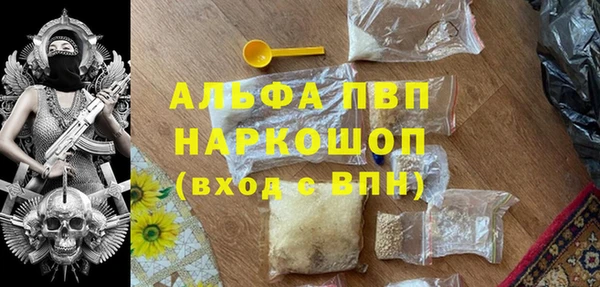 хмурый Верея