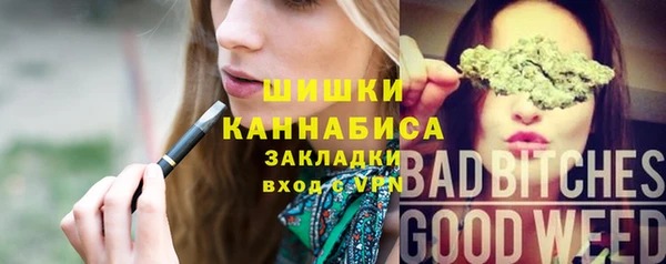 хмурый Верея