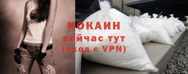 крисы Лагань