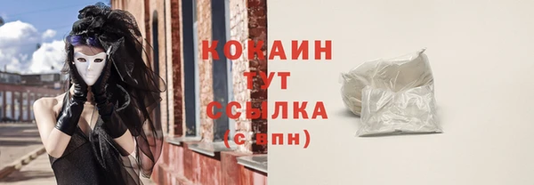 хмурый Верея