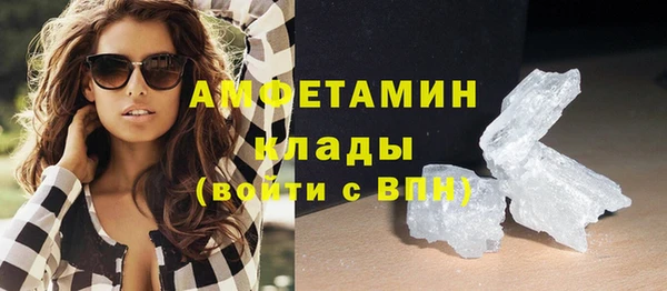 хмурый Верея