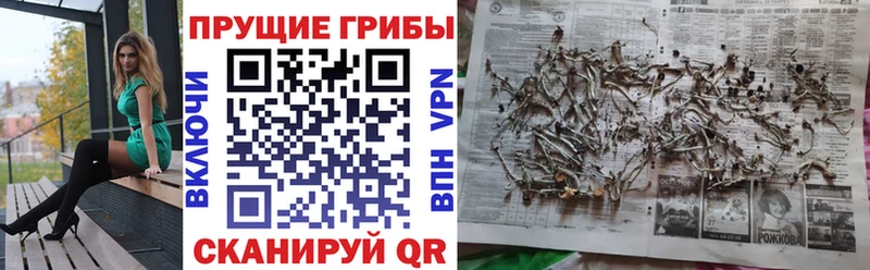 Псилоцибиновые грибы мухоморы  гидра как войти  Истра 